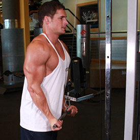 Triceps | Extensiones de tríceps en polea alta Triceps | Extensiones de tríceps en polea alta