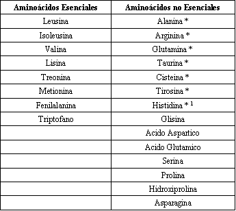 aminoácidos aminoácidos