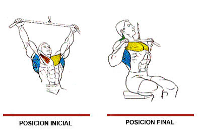 Polea al pecho Polea al pecho