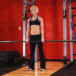 Encogimiento de hombros con barra | Femenino Encogimiento de hombros con barra | Femenino