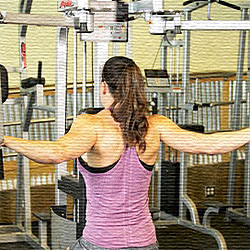 Deltoides posterior en maquina | Femenino Deltoides posterior en maquina | Femenino