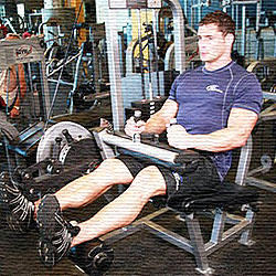 Curl de piernas sentado en máquina | Masculino Curl de piernas sentado en máquina | Masculino
