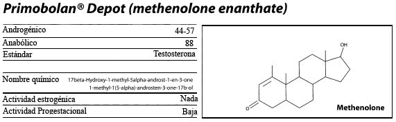 Primobolan - Methenolone Primobolan - Methenolone