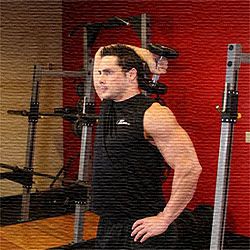 Extensión vertical de los codos con Mancuerna | Masculino Extensión vertical de los codos con Mancuerna | Masculino