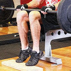 Elevación de talones sentado con barra | Masculino Elevación de talones sentado con barra | Masculino