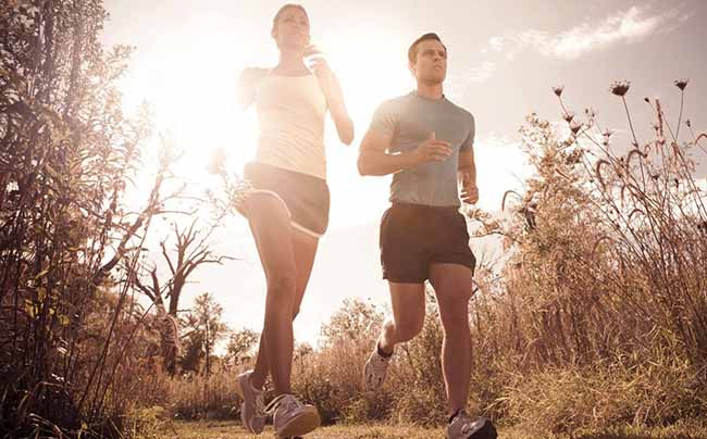 aumentar tu metabolismo aumentar tu metabolismo
