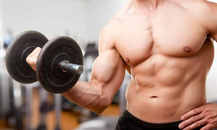 Consejos para construir unos buenos biceps Consejos para construir unos buenos biceps