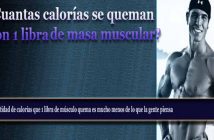 Calorías en una 1 libra de musculo