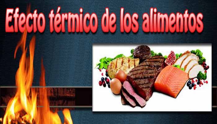 El efecto térmico de los alimentos El efecto térmico de los alimentos