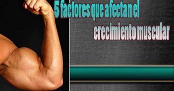 Factores que afectan el crecimiento muscular