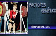 Factores de la Genética