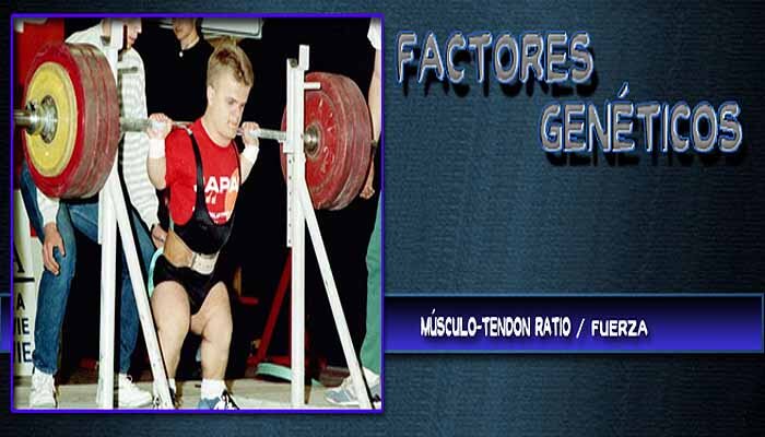 Factores de la Genética Factores de la Genética