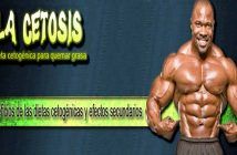 La cetosis
