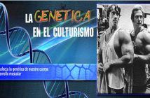 La Genética en el culturismo