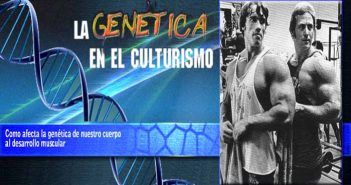 La Genética en el culturismo