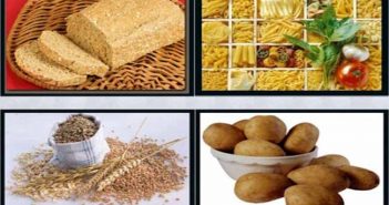 Nutrición en el Culturismo