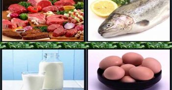 Nutrición en el Culturismo