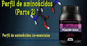 Perfíl de aminoácidos