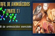 Perfíl de aminoácidos