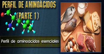 Perfíl de aminoácidos