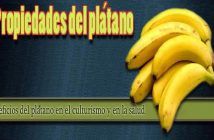 Propiedades del plátano