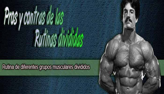 Rutinas divididas Rutinas divididas
