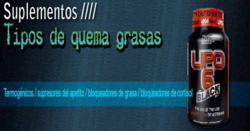 Tipos de quemadores de grasa