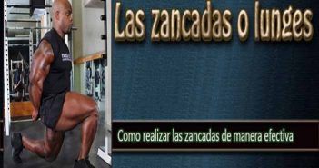 Las zancadas o lunges